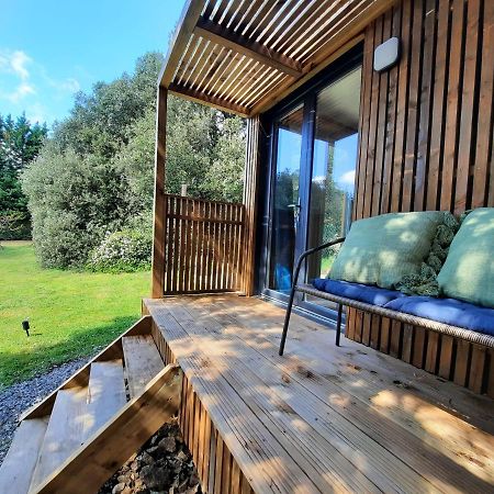 Le Lodge Des Chenes Brousses-et-Villaret Eksteriør billede
