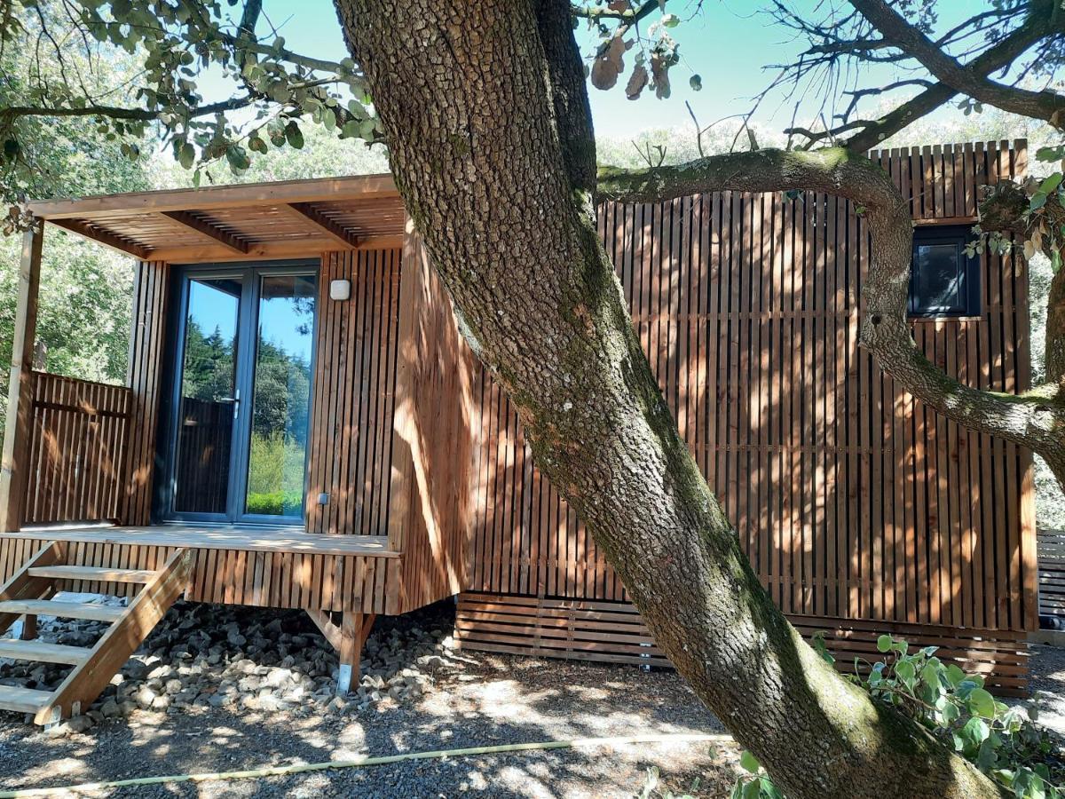Le Lodge Des Chenes Brousses-et-Villaret Eksteriør billede