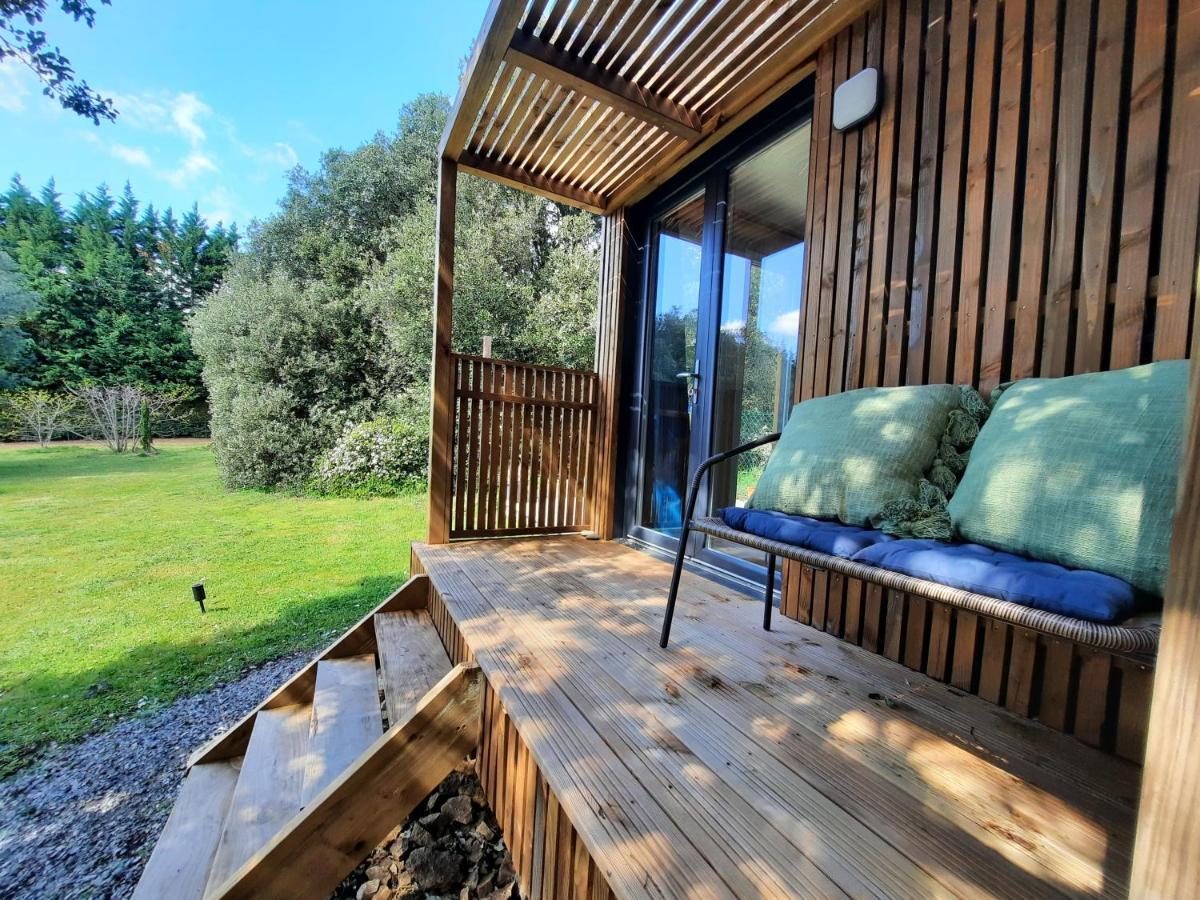 Le Lodge Des Chenes Brousses-et-Villaret Eksteriør billede